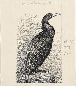 Cormorán de Leo Gestel