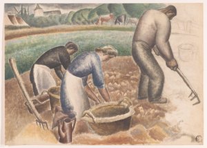 Cosechadoras de patatas en el campo