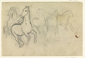 Caballos al galope