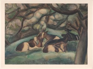 Vacas en el Beemster