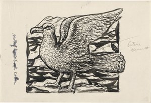Gaviota