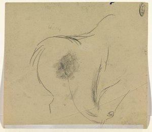 Cabeza de caballo
