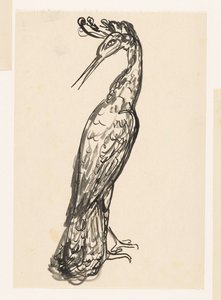 Garza con la cabeza girada hacia atrás de Leo Gestel