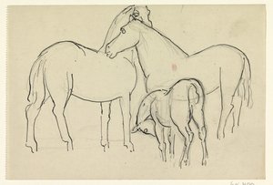Dos caballos y un potro