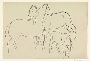 Dos caballos y un potro