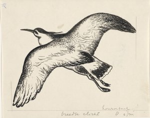 Pájaro volador de Leo Gestel