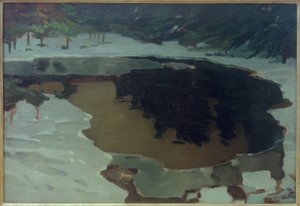 Lago de turba en invierno