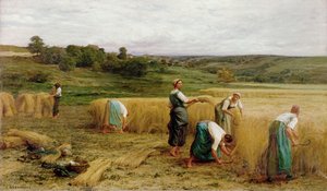 Cosecha, 1874