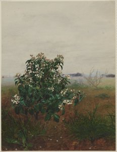  de Léon Bonvin