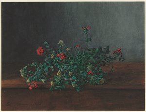 Still Life with Wild Flowers de Léon Bonvin