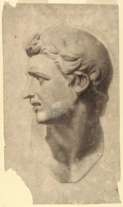 Dibujo, Estudio de una cabeza masculina clásica (a partir de un molde de escayola), 1881-92 de Leon Dabo