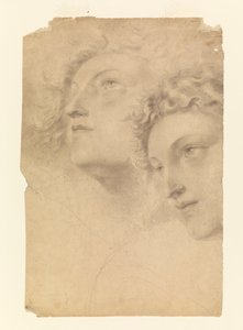 Dos cabezas femeninas