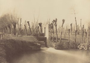 Paisaje, Montebello,c. 1860 (foto) de Léon Gérard