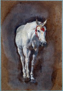 Un caballo (dibujo) de Leon Joseph Florentin Bonnat