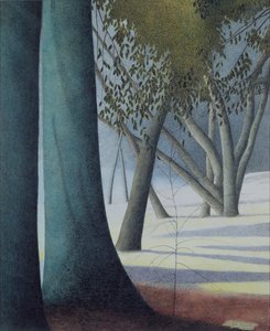 Troncos de haya de Leon Spilliaert