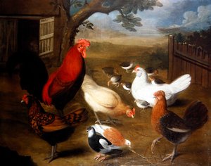 Escena de corral con un gallo de Leonard Hubner