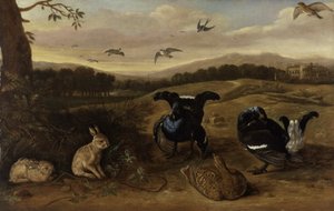 Juego negro, conejos y golondrinas en un parque, c.1700 (óleo sobre lienzo) de Leonard Knyff