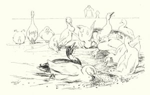 Dama, ¿qué hace que tus patos mueran? de Leonard Leslie Brooke