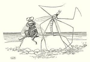 El papá patas largas y la mosca (litografía) de Leonard Leslie Brooke