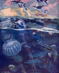  de Leonard Robert Brightwell