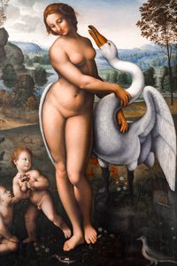 Leda y el cisne, Óleo sobre lienzo de Leonardo da (after) Vinci
