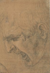 Cabeza de un hombre que grita de Leonardo da Vinci (follower of)