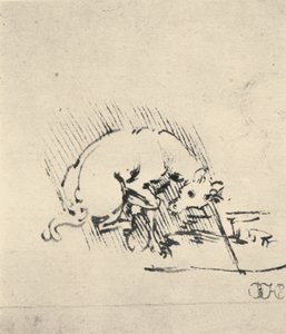 Unicornio sumergiendo su cuerno en el agua de Leonardo da Vinci