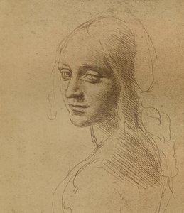 Una cabeza femenina, c1472-c1519 de Leonardo da Vinci