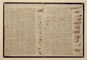 Una página del Códice Leicester, 1508-12 de Leonardo da Vinci