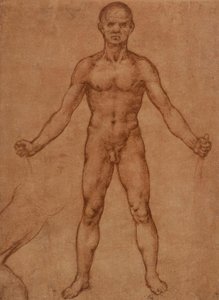 Estudio de un hombre desnudo de pie, frontal