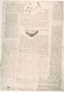 Estudios de anatomía de Leonardo da Vinci