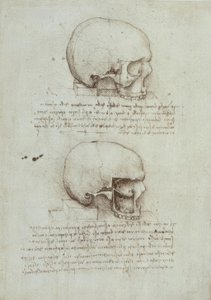 Estudios de anatomía de Leonardo da Vinci