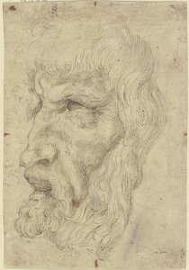 Máscaras antiguas a la izquierda de Leonardo da Vinci