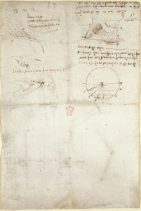 Arundel 263, f.126v Tres notas y bocetos sobre el agua; un diagrama sobre el vuelo de los pájaros, c.1500-5 (pluma y tinta sobre papel) de Leonardo da Vinci