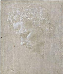  de Leonardo da Vinci