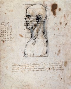 Busto de un hombre de perfil con medidas y notas de Leonardo da Vinci