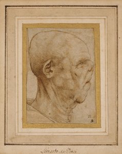 Caricatura de la cabeza de un anciano, de perfil a la derecha, c.1507 de Leonardo da Vinci