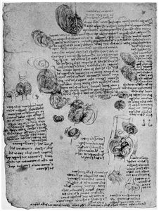 Diagrama del vórtice sanguíneo en el corazón, finales del siglo XV o principios del siglo XVI, 1954 de Leonardo da Vinci