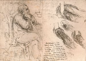 Dibujo que ilustra la representación del cabello cayendo en rizos, c1472-c1519 1883 de Leonardo da Vinci