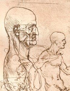 Dibujo que ilustra la teoría de las proporciones de la figura humana, c. 1472-c. 1519, 1883 de Leonardo da Vinci