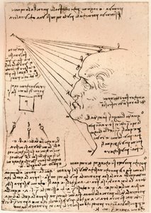 Dibujo de una cabeza masculina, ilustrando la práctica de la pintura de Leonardo da Vinci