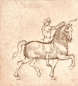 Dibujo de un caballo caminando, c1472-c1519 1883