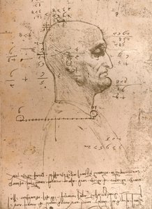 Dibujo de la cabeza de un criminal, c1472-c1519 1883 de Leonardo da Vinci