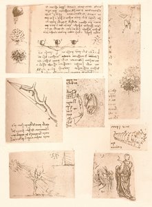 Cinco dibujos que ilustran los elementos de la pintura de paisajes, c1472-c1519 1883 de Leonardo da Vinci