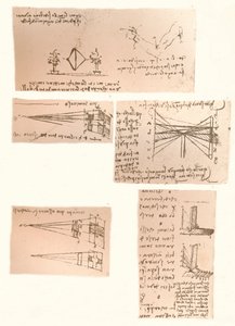 Cinco dibujos que ilustran la teoría de la pintura, c. 1472-c. 1519, 1883 de Leonardo da Vinci
