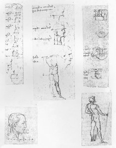 Cinco dibujos que ilustran la teoría de las proporciones de la figura humana de Leonardo da Vinci