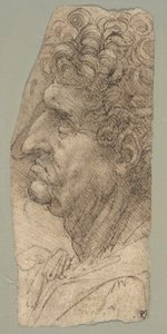 Cabeza de un hombre de perfil, mirando hacia la izquierda de Leonardo da Vinci