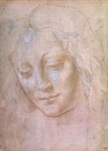 Cabeza de una mujer de Leonardo da Vinci