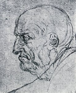 Cabeza de un anciano de Leonardo da Vinci