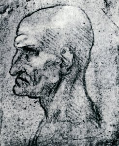Cabeza de un anciano, 1913 de Leonardo da Vinci
